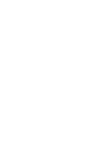 Vizela