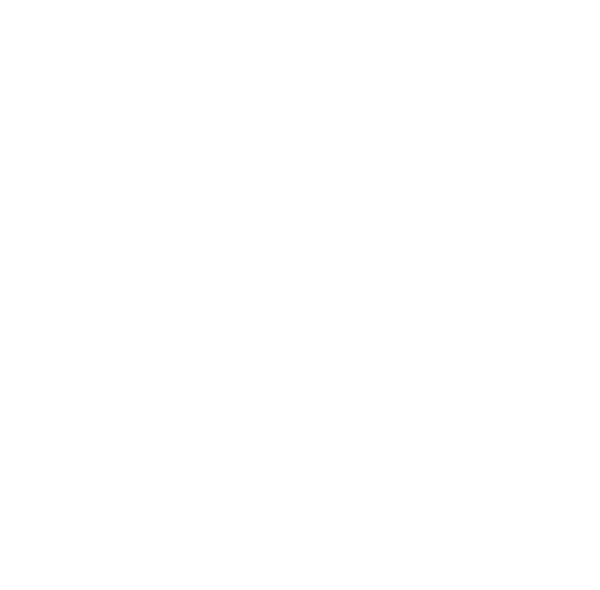 Benfica B